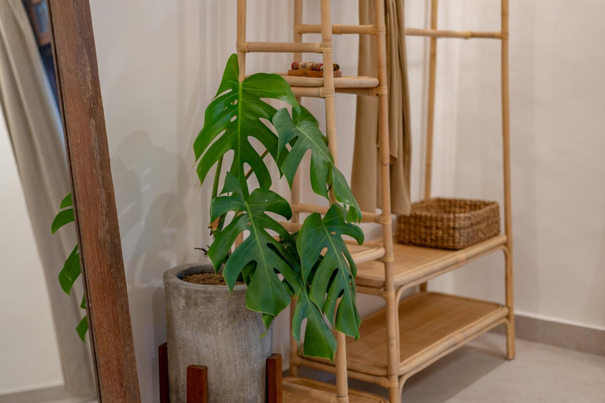 Cozy Up Villa Sanur Zewnętrze zdjęcie
